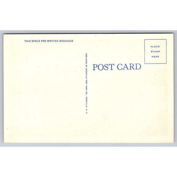 Postcard North Carolina Tryon Trade Street at Night Full Moon Old Car c1940s NC - Picture 2 of 2